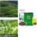 Green Tea From High Mountain Tea Garden Clear Tea Soup Strong and Persistent Tea Aroma Yunwu Green Tea for Home Hospitality Drinks or Gifts for Friends and Family - Buy Online on SooperMarket.com