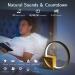 Blonbar Bedside Lamp with USB Charging - Touch Control Dimmable Alarm Clock & Sleep Aid - 3 Brightness Levels for Babies & Adults - Perfect for Bedroom & Living Room - Buy Online on SooperMarket.com