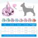 BriFit Cat Dishes with 150cm Leash - High Quality Breakfast Set for Cats & Small Dogs (Pink XS) - Perfect for Pets 6.61-1lb - Buy Online on SooperMarket.com