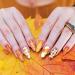 Whaline Fall Halloween Nail Art Stamping Plate Kit - Set of 6 Pumpkin Ghost & Plaid Designs for DIY Manicure | Perfect for Autumn & Thanksgiving - Buy Online on SooperMarket.com