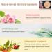 NUIBO Air Cushion CC Cream with Mushroom Head | Moisturizing Concealer Makeup Base | Primer Liquid Foundation Long Lasting | Includes Two Mushroom Makeup Sponges | Natural Screw Lid - Buy Online on SooperMarket.com
