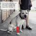Pet Knee Brace Flexible Dog Leg Support Brace Impervious Shock Proof Dog for Pet(red S) - Buy Online on SooperMarket.com