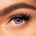 Wet n Wild Mega Protein Waterproof Mascara Very Black 0.21oz - Long-Lasting Lashes - Buy Online on SooperMarket.com