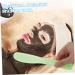 Baluue 30 Pcs Tool Stick Spatula for Makeup Cosmetic Plate Mixer Cosmetic Scoop Pp re-usable 20.5x3x0.6cmx3pcs Greenx3pcs - Buy Online on SooperMarket.com
