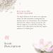RITUALS Sakura Body Cream - Moisturizing Antioxidant Cream with Cherry Blossom & Rice Milk - 7.4 Fl Oz - Buy Online on SooperMarket.com
