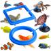 Molain Fish Feeding Ring 2 Pieces Fish Feeder Aquarium Fish Turtle Tank Accessories Food Feeder Circle For Guppy Bettas goldfish Turtle (Blue)