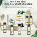 EUQEE Essential Oils Set - Lavender, Eucalyptus, Peppermint, Tea Tree, Sweet Orange, Lemongrass - 100% Pure Therapeutic Grade Aromatherapy Oils for Diffuser - 6 x 10ml White - Buy Online on SooperMarket.com