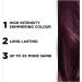 L'Or al Paris Colorista Permanent Gel Hair Dye - Dark Purple | Long-Lasting Vibrant At-Home Hair Colour - Buy Online on SooperMarket.com