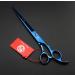 8 inch Purple Dragon 3 in 1 Professional Pet Grooming Thinning Scissors - Upward Curved Shears - Dog Hair Cutting Scissor in Blue - Buy Online on SooperMarket.com