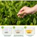 AIHIYO Blood Uric Acid Balance Tea Promote Purine Metabolism and Relieve Joint Pain 20 Teabags (3) - Buy Online on SooperMarket.com
