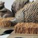 MAISONICA Hedgehog Shaped Cast Iron Shoe Scraper Boot Brush Brown - Buy Online on SooperMarket.com