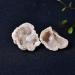1PC Natural Crystal Agate Geode Cutting Crystal Cluster Stone Rock Specimen Quartz DIY Home Decoration Natural Luster 3-5cm Natural Agate - Buy Online on SooperMarket.com