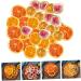 OFFSCH 1 Dried Apple Slices Lifelike Decorative Fruits Dried Lemon Wreath Ornament Simulation Lemon Slices Lemon Garland Wedding Cake Decorations Unique Dried Fruit Party Supplies - Buy Online on SooperMarket.com