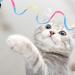 Amaxiu Cat Wand Toy Set Interactive Cat Wand Toy with Rainbow Ribbon String Rainbow Cloth String Leopard Print Cloth String for Small Cats Kittens Indoor Training Catcher(3 Packs) - Buy Online on SooperMarket.com