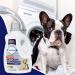 Febreze Pet Odor Eliminator Laundry Detergent Additive - Maximum Strength, 98 floz - Buy Online on SooperMarket.com