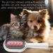 Universal Cat Brush for Long & Short Haired Cats - Cats Ridge Water Brush & Hair Remover | Rosa - Buy Online on SooperMarket.com