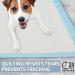 40 Count Dog Pee Pads Extra Large 23.6"x35.4" X-Large Training Puppy Pee Pads Super Absorbent & Leak-Proof XL Disposable Pet Piddle Pad and Potty Pads for Dogs Puppies Doggie -60x90cm - Buy Online on SooperMarket.com