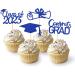 JINGLING Graduation Cake Toppers 24 Piece Graduation Cupcake Toppers Glitter Class of 2023 Graduation Caps Cupcake Picks for Party Cake Decorations Blue - Buy Online on SooperMarket.com