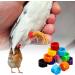 100 Bird Identification Rings - Pigeon Footrings Parrot Leg Bands & Poultry Marking Tape - 8mm Clamping Rings for Chickens Quail & More - Buy Online on SooperMarket.com