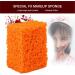 Verdant Touch FX Makeup FX Blood Scar Stubble Effect Wound Makeup Stipple Sponge for Halloween Xmas (Small Hole) - Buy Online on SooperMarket.com