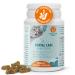 Ida Plus Dental Care Mini Sticks - Cats Dental Care Caustricks for Cats - helps to clean the cats teeth - stops cats of bad breath - anti -plaque - delicious cats - 80 pcs