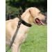 Joyal Tactical Dog Collar | Medium-Sized Dog Collar with Handle & QR Code | Army Green - Buy Online on SooperMarket.com