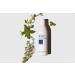 LATHER Mint Thyme Hair Wash - Natural Shampoo with Peppermint Oil, Green Tea, Mint & Thyme - 8 Oz Bottle | Self Care Essential Oils - Buy Online on SooperMarket.com