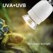 CPROPC 2PCs Heat Lamp for Reptiles - Ceramic UV Lamp with Switch 1.8m Cable 360 Rotatable | Ideal for Lizards & Turtles - Buy Online on SooperMarket.com