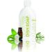 Sapadilla Dish Soap Rosemary Peppermint - 16 Fl Oz | Eco-Friendly Vegan & Biodegradable - Buy Online on SooperMarket.com