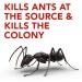 Raid Ant Killer Baits And Traps For Indoor Use Child Resistant 8 Count Baits Ant Killer - Buy Online on SooperMarket.com