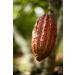Peruvian "Blend" Ceremonial Cacao by The Jasper Cacao Project (250 Grams) - Buy Online on SooperMarket.com