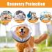 Petyoung Inflatable Dog Cone XL - Anti-Licking Baffle for Dogs After Surgery - Soft Cone for Small, Medium, and Large Breeds (Neck 19-25 in) - Buy Online on SooperMarket.com