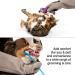 PetFusion Multipurpose Pet Glove for Grooming, Vet Trips & Handling - Medium, Grey - Buy Online on SooperMarket.com