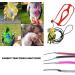 Premium Bird Leash & Dishes - Anti-Bite Flight Training Rope for Small Birds | Perfect for Nymphensittich & Outdoor Use - Buy Online on SooperMarket.com