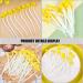 Alipis 12pcs bean sprouts Model decorations pretend lifelike vegetable adornment decorate fruit vegetables decorative vegetable artificial pvc Green bean sprouts Yellow 9.00X1.00X1.00CM - Buy Online on SooperMarket.com