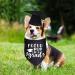 Dog Graduation Cap & Bandana Set - 2023 Black Tassel Graduation Outfit for Proud Pup of A Grad - Buy Online on SooperMarket.com