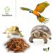 UGF Juicy Preserved Mealworms 140g - Premium Bird Food Hedgehog & Squirrel Treats Year-Round Nutrition - Buy Online on SooperMarket.com