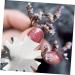 POPETPOP Lobster Headbands Manicure Art Tool medium Silver - Buy Online on SooperMarket.com