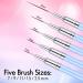 Eptbsdu 5PC Nail Art Liner Brushes Set - Metal Handle Long Lines Brush for UV Gel Polish Painting - Pink - Buy Online on SooperMarket.com