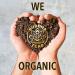 Buddha Teas Organic Papaya Leaf Tea - USDA Organic, OU Kosher, 18 Bleach-Free Bags - Buy Online on SooperMarket.com