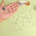 Savita 1500pcs Eye Pins Metal Findings Beading Eyepins - 16/20/30mm (5 Colors) - Jewelry Making Supplies for Earrings & Bracelets - Buy Online on SooperMarket.com