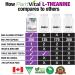 PlantVital High Potency L-Theanine 250mg Capsules - 240 Count - L Theanine Supplement for Relaxation and Stress Management Non-GMO Made in Canada - L-Theanine Supplements 8 Month Supply 240 count (Pack of 1) - Buy Online on SooperMarket.com