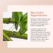 Erborian Bamboo Cr me Frappe Moisturizer Hydrating & Soothing Cream for Dehydrated Skin | Korean Skincare | 1.7 Oz - Buy Online on SooperMarket.com