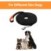 Pet Prime 10m Long Dog Training Lead with Padded Handle - Heavy Duty Nylon Leash for Small, Medium & Large Dogs - 1 Inch Wide - Buy Online on SooperMarket.com