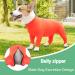 ETDANE Surgical Recovery Suit for Dogs - Anti-Hair Loss Long-Sleeved Pile Suit in XXL Orange - Comfort for Male & Female Dogs - Buy Online on SooperMarket.com