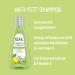 Guhl Freshness & Lightness Anti-Fat Shampoo - 4 x 250ml for Oily & Normal Hair - International Shipping Available - Buy Online on SooperMarket.com
