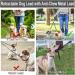 Fiyade Retractable Double Dog Leash for Large, Medium & Small Dogs - Extendable 5m Lead with Metal 70cm Double Ended Chain - L-5m+70cm - Buy Online on SooperMarket.com