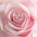 Caswell-Massey Rose Perfume Discovery Classic Floral Scent Luxurious & Long-Lasting Fragrance for Women Travel Size Vial Perfume for Women 0.25 Fl Oz Rose 0.25 Fl Oz (Pack of 1) - Buy Online on SooperMarket.com