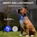 2 Pack LED Dog Harness Lights - Fluorescent Silicone Bands with USB-C - IP65 Waterproof - 3 Modes Flashing Light (Blue) - Buy Online on SooperMarket.com
