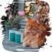 Venandi Animal - Premium Grain-Free Turkey Cat Food | Monoprotein Wet Food Pack of 6 (6 x 400g) - Natural & Healthy - Buy Online on SooperMarket.com